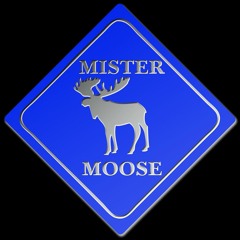 DJ  MISTER MOOSE