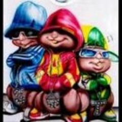 Akvian Damany Evol 1