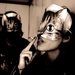 lukacat