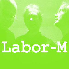 Labor-M1