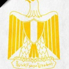 Mohamed Ahmed Basha