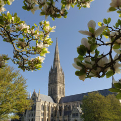 Salisbury Cathedral Choir