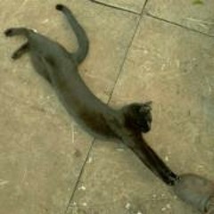 Izzy Keira Jessica Burr