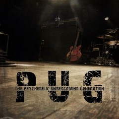 Thepug PsychedelicRock