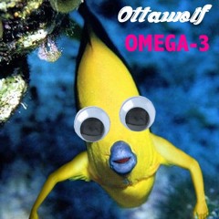 OTTAWOLF