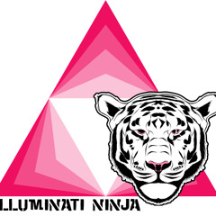 Illuminati Ninja