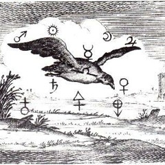 Bird is not the metaphor