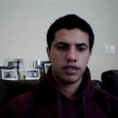 Bruno Henrique Pinguin