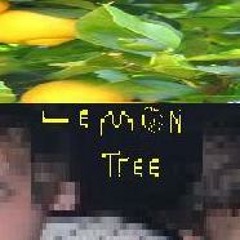 Lemon_Tree