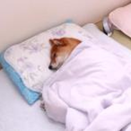 えくぺり用20120728mix(@schranz_lily)