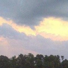 Sandra Miranda-Cuellar