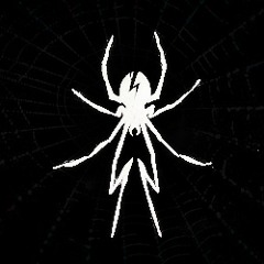 Dj SpideR