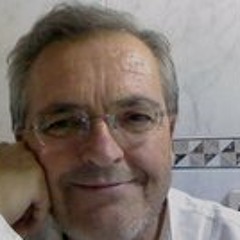 J Fernando Suárez Mejido