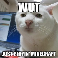 Meow Corp. Official