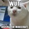 Meow Corp. Official