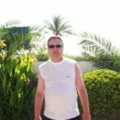 steve palmer