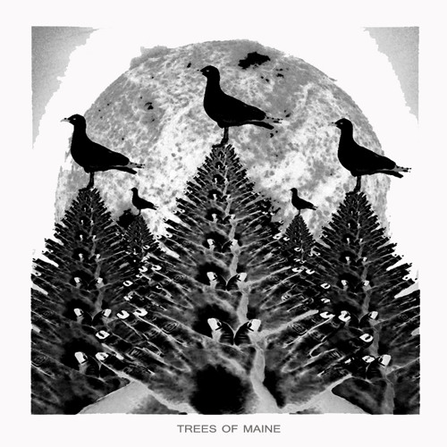 Trees Of Maine’s avatar