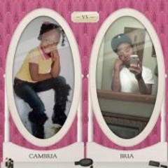 Bria Datstud Bredwood