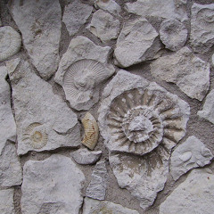 Grey Vs. Gray - Clap to the Future