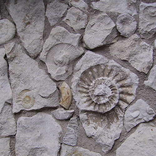 Grey Vs. Gray - Clap to the Future