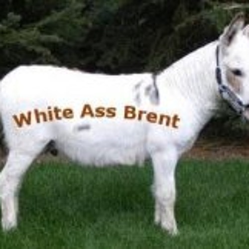 Brent WhiteAss’s avatar