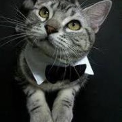 Apimuk Nu'z SithiSarn