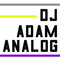 DJ AdamAnalog