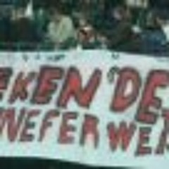 Feyenoordwijffie Verba