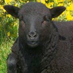 Jacqueline Clark Jones