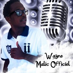 Wayne Malic