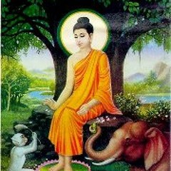 Vũ Khúc Thiên Đình