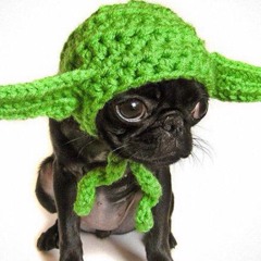 Street Sound Assasin.