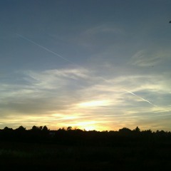 SWAMPY