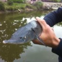 larissa.barisic@yahoo.de