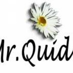 Mr.Quid