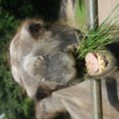 Christoph Schmidt 13