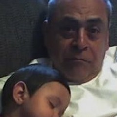 Albert Palomino