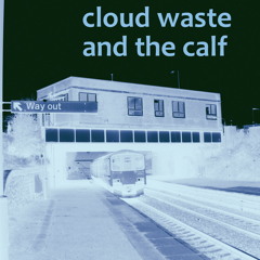 Cloud waste and the Calf