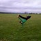wheelix