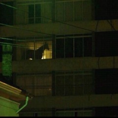 Ekrem Oğuz Gürceer