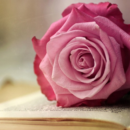 Altair and Darim-Lorne Balfe