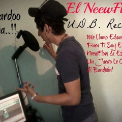 El NeewFlow