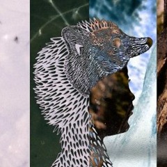 Ratty Little Fingers