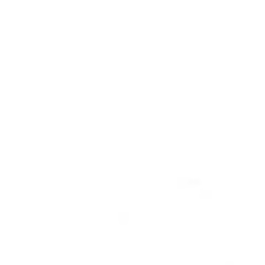 Micah Vibal Gallarin