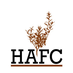 Hope Alive Freedom Church