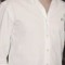 Alireza Nahid