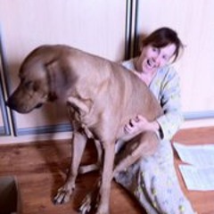 Anna Irena Michalska