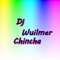 Djwuilmermix