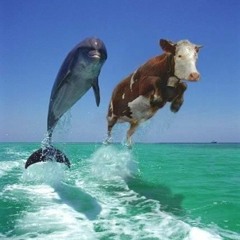 The Sea Cows