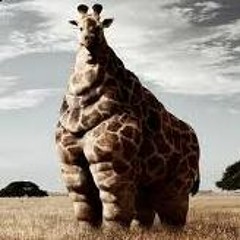 Justingreenpea